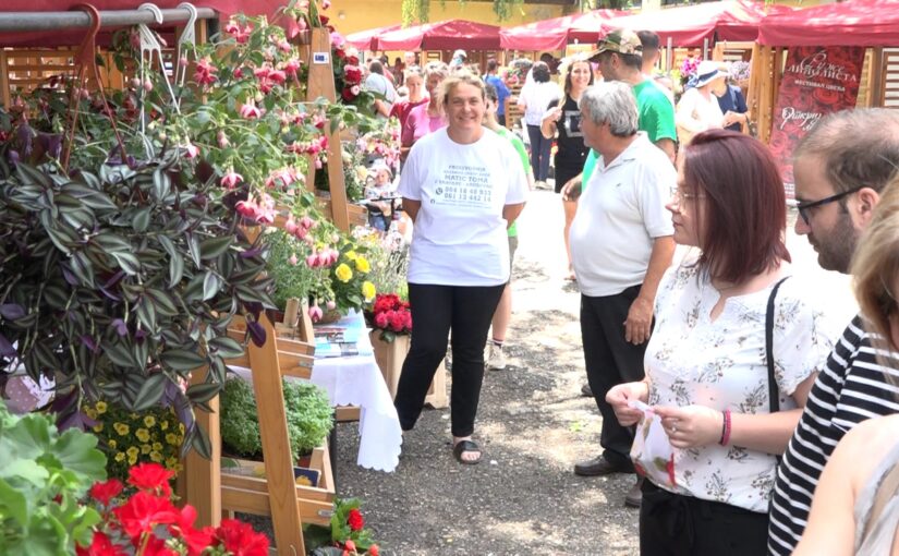 Festival cveća okupio veliki broj posetilaca