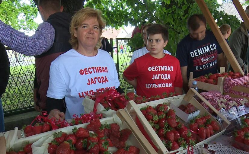 Maj mesec u znaku manifestacija