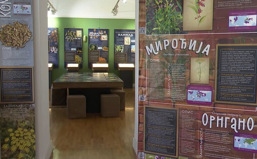 Doživite biljke svim čulima